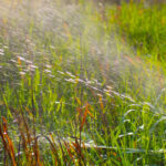 safe-water-for-agriculture