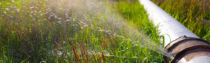safe-water-for-agriculture