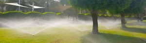 water on grass