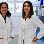 Lead Testing Companies Near Me in Yonkers