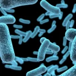 Nuisance Bacteria as Contaminants in Drinking Water