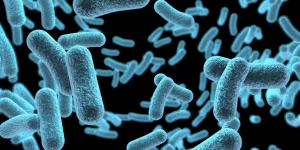 Nuisance Bacteria as Contaminants in Drinking Water