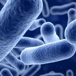 Nuisance Bacteria in Drinking Water