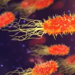 Risks of Bacterial Contamination in Drinking Water