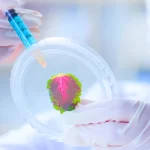 doctor analysing bacteria