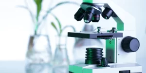 enviromental testing