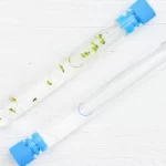 sample with water and plants