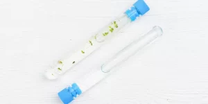 sample with water and plants