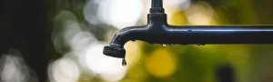 tap water