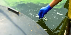water testing lake