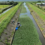 agricultural runoff 2