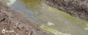 agricultural runoff