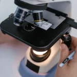 bacteria at microscope 2