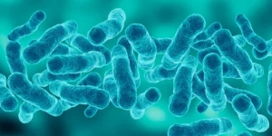 blue bacteria 5