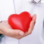 doctor holding a red hearth