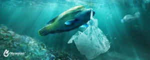 fish pollution 3