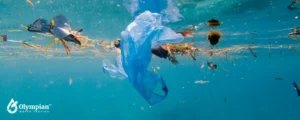 fish pollution with plastic
