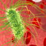 green and red bacteria