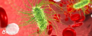green and red bacteria