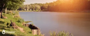 lake 40