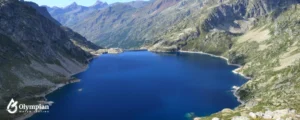lake 8