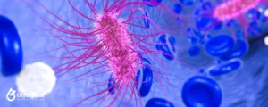 pink bacteria 23