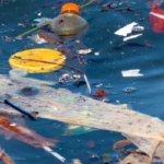 plastic pollution