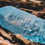 plastic pollution in the forrest