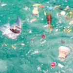 plastic pollution in water 11