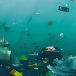 plastic pollution in water 14