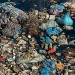 plastic pollution in water 17