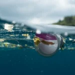 plastic pollution in water 19