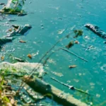 plastic pollution in water 2