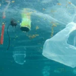 plastic pollution in water 7
