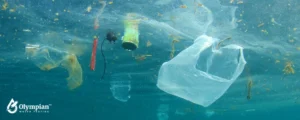 plastic pollution in water 7