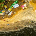 plastic pollution on river 3
