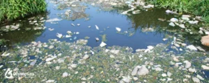 plastic pollution on river 5