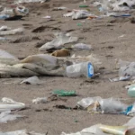 plastic pollution on the beach