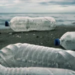 plastic pollution on the beach 2