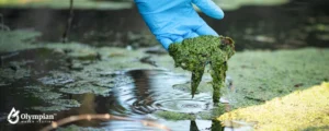 pollution in water