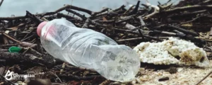 pollution on beach