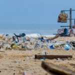polluton with plastic on beach