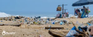 polluton with plastic on beach