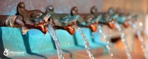 public water dragon shape