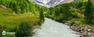river 23