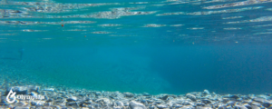 sea water 15