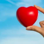 small red hearth in hands