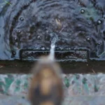 small water fountain