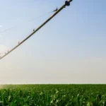 spraying water on crop 2