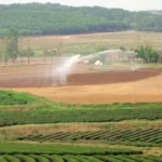 spraying water on crop 4